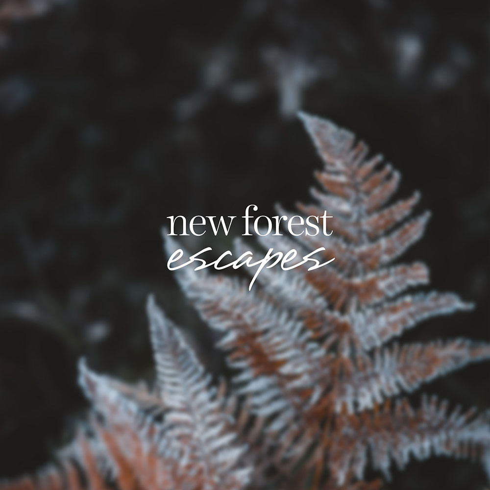 New Forest Escapes Branding